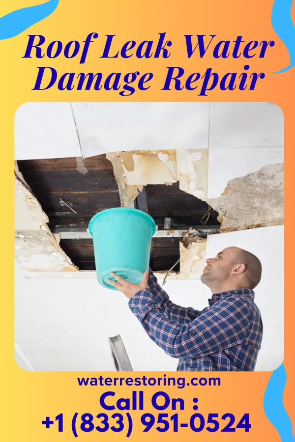 Roof Leak Water Damage Repair in Red Oak, NC